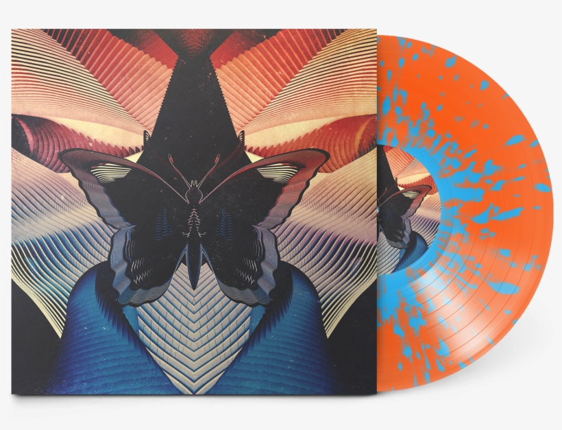 Butterfly Ep - Thornhill Butterfly, transparent png #8742252