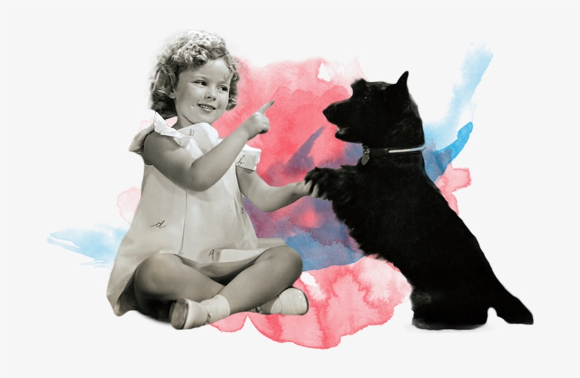 Show Support For Animals - Black Cat, transparent png #8742276