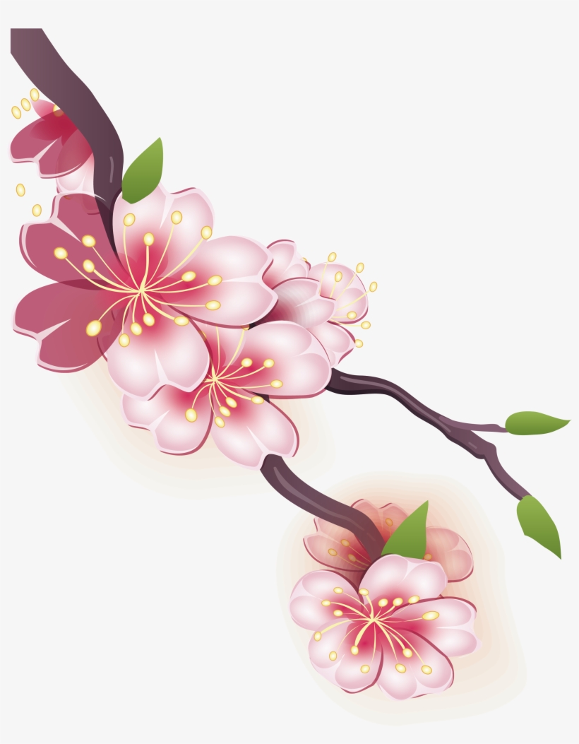 Drawn Cherry Blossom Design - Drawing Of Cherry Blossom, transparent png #8743082