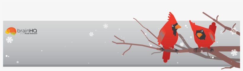 Happy Holidays From Posit Science - Insect, transparent png #8744210