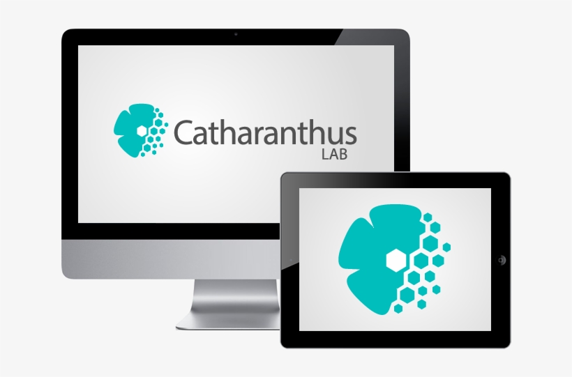 Catharanthus Lab - Graphic Design, transparent png #8746745