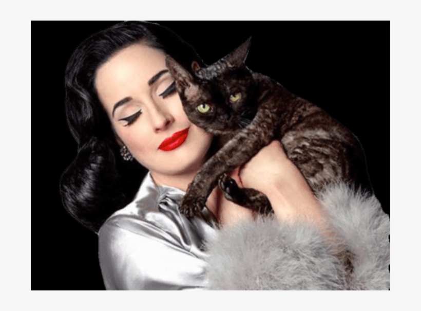 The Latest Celebrity, Free Transparent Png Images - Dita Von Teese Aleister Von Teese, transparent png #8746871
