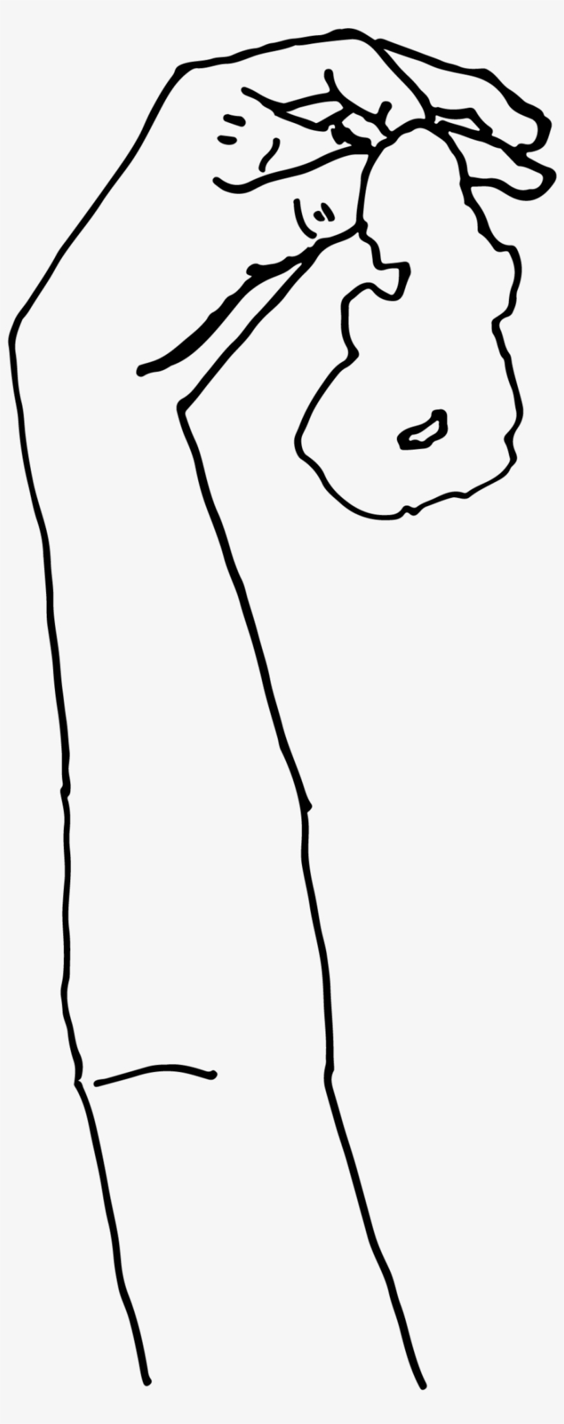 Digital Www - Sketch, transparent png #8748146