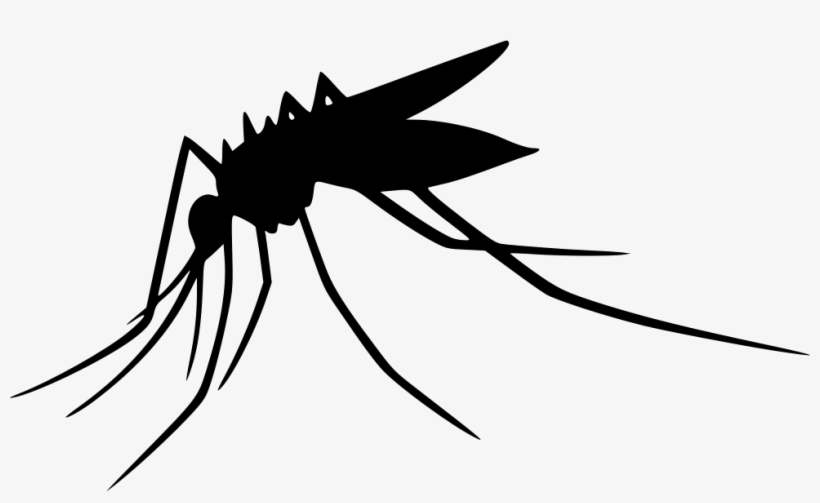 Mosquito Transparent Png - Clipart Transparent Background Mosquitoes, transparent png #8749884
