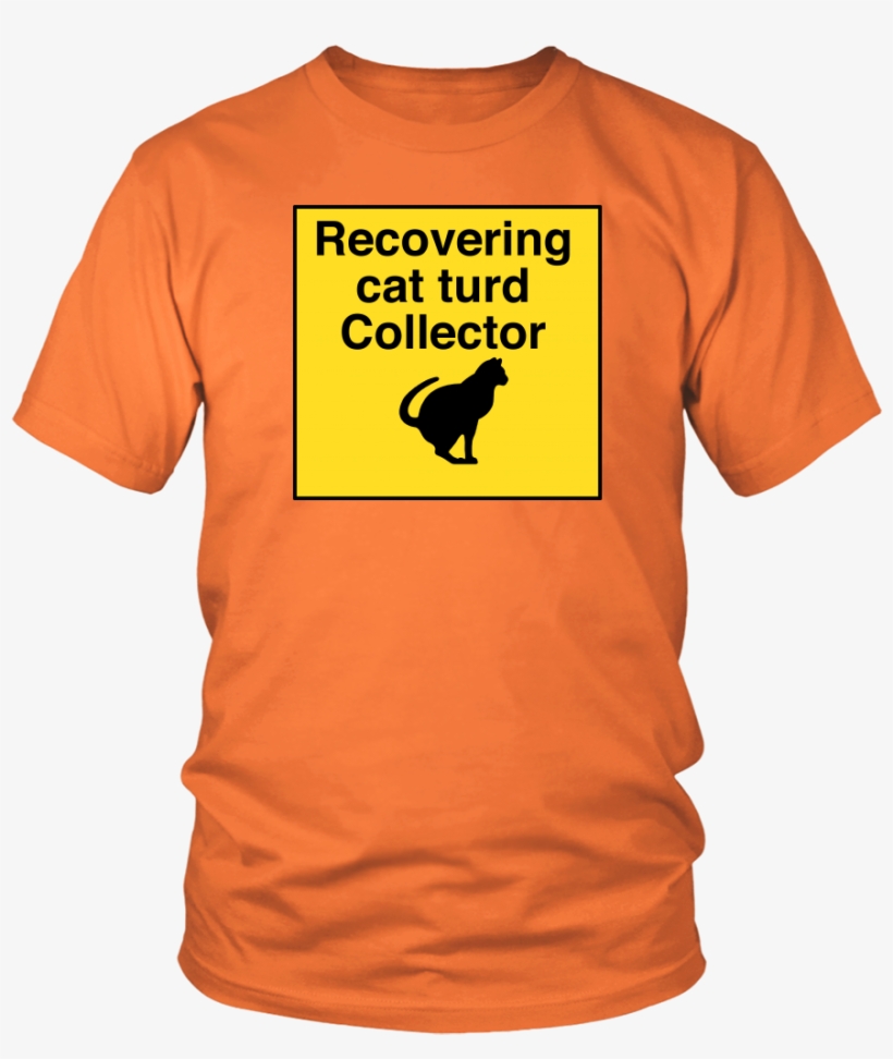 Recovering Cat Turd Collector Unisex Tee - All I Want For Christmas Is A New President, transparent png #8749930