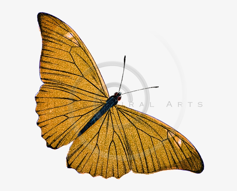 Silver Spiral Arts, transparent png #8751248