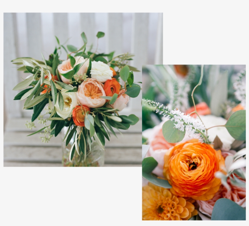 Florals - Garden Roses, transparent png #8751297