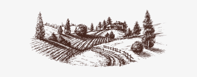 In 2006, The Roma Family Decided To Look For A Type - Etched Landscape, transparent png #8752064