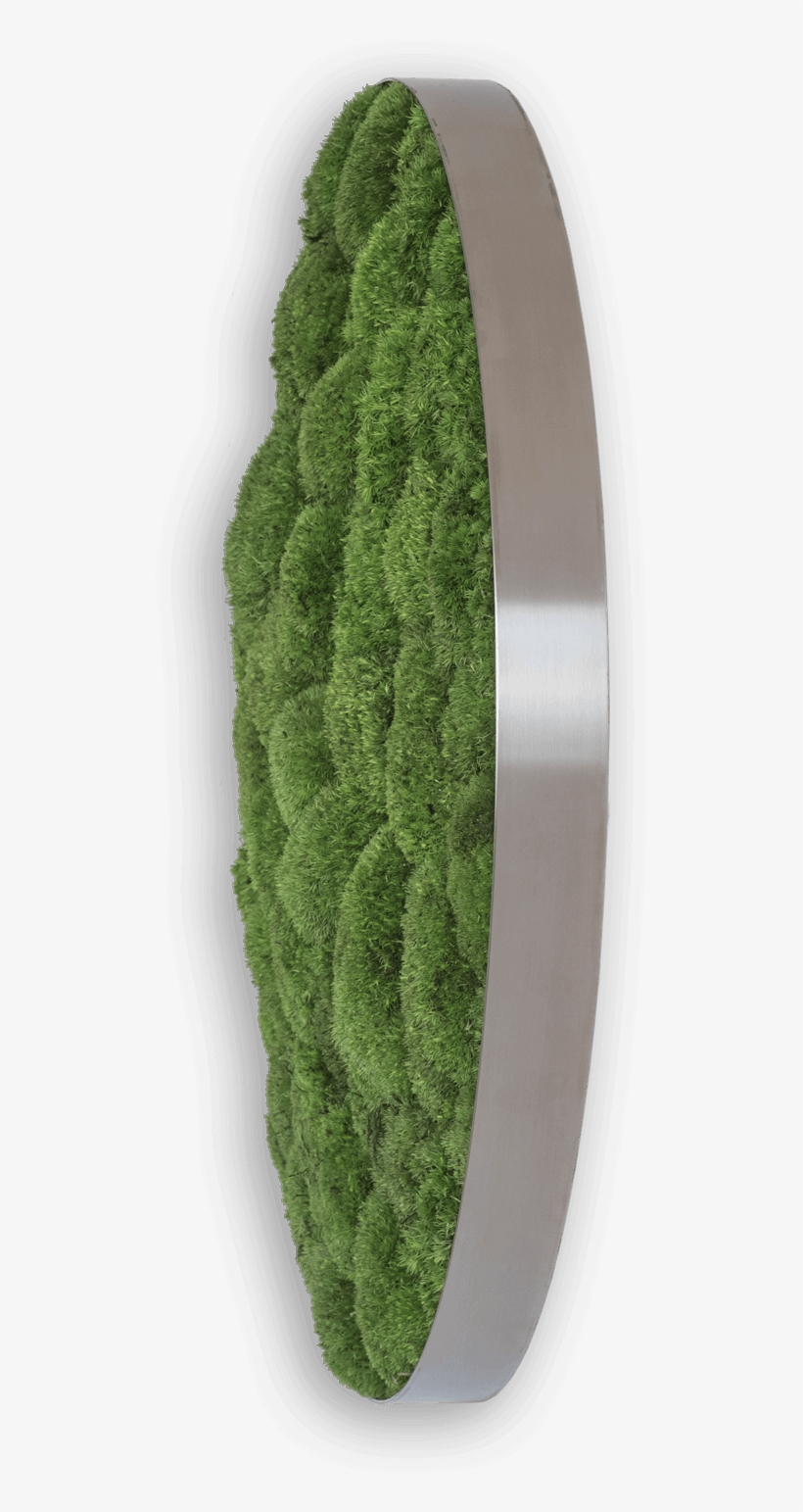 Pole Moss Circle 80cm - Artificial Turf, transparent png #8752194