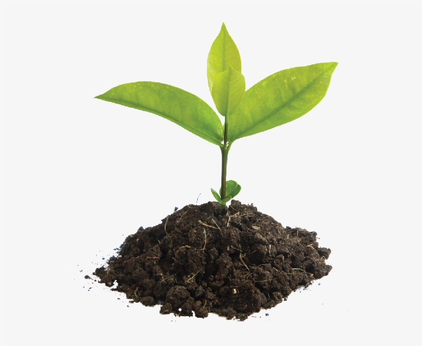 Find Out More - Iniciacion A La Actividad Emprendedora Y Empresarial, transparent png #8752312
