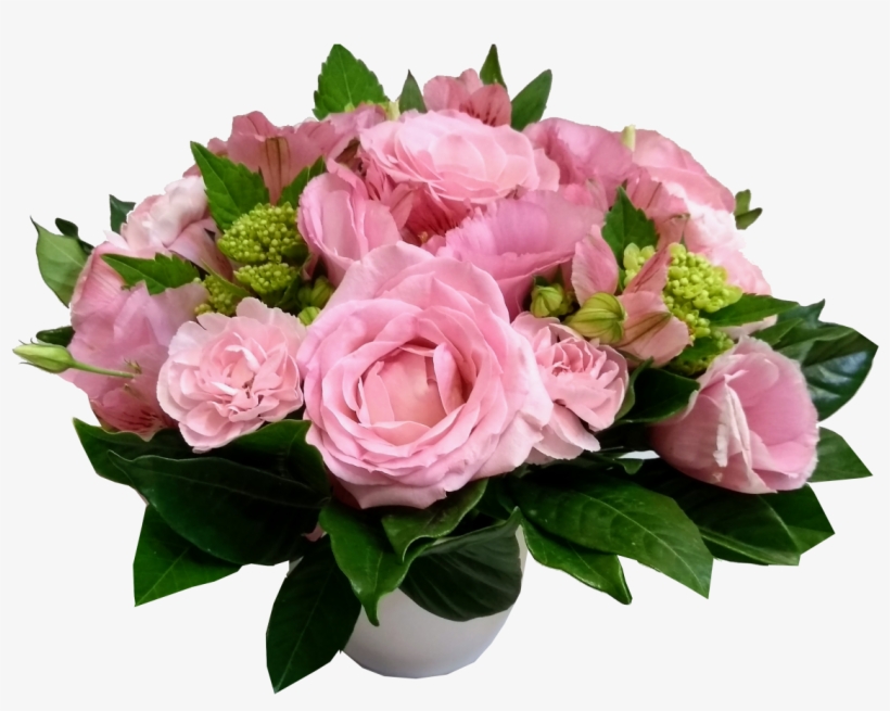 Garden Roses, transparent png #8752426