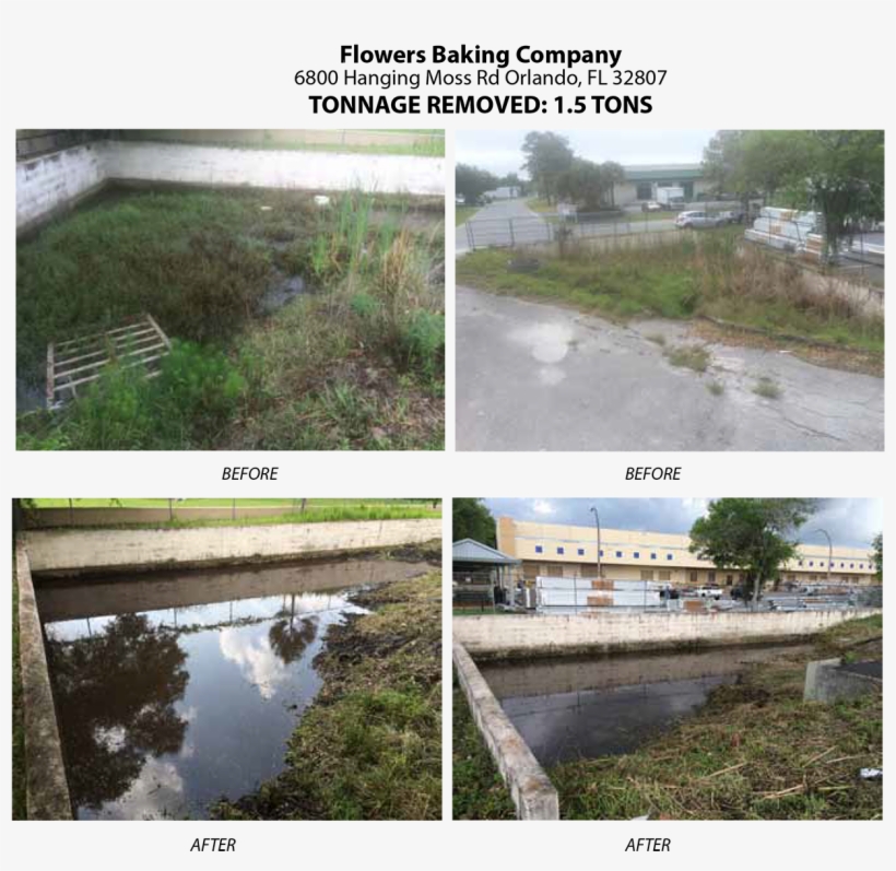 Florida Pond Cleaning Before And After Seven - Freshwater Marsh, transparent png #8752801