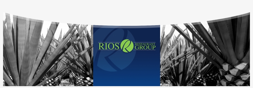 Rios Restaurant Group - Banner, transparent png #8752918