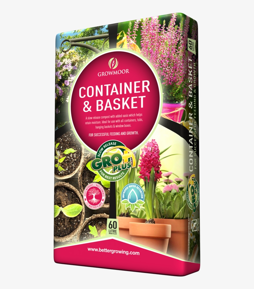 Verbena, transparent png #8753170