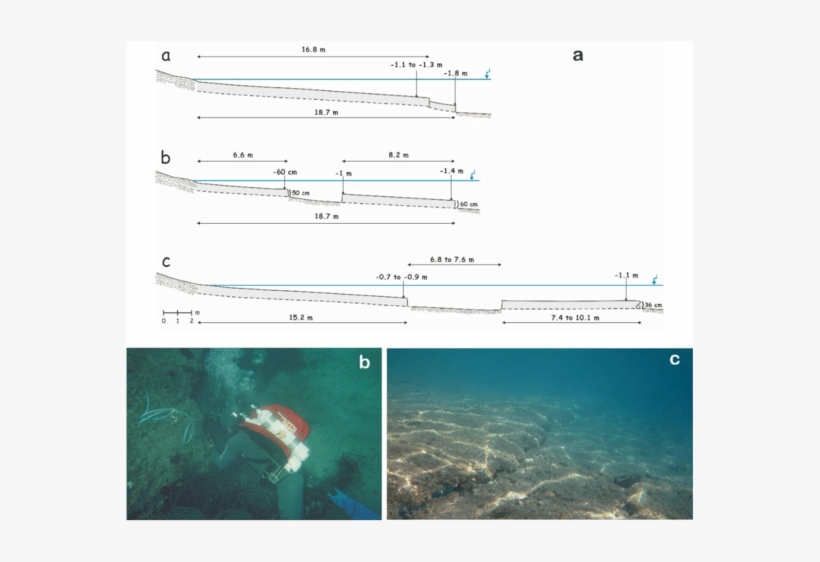 A) Submarine Transects From Agia Marina (br-7), (b) - Marine Biology, transparent png #8754007