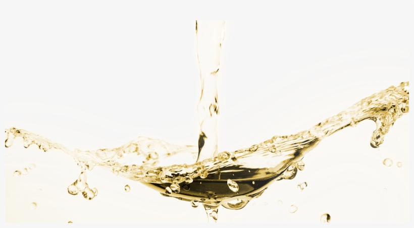 1280 X 644 14 - Macro Photography, transparent png #8755515