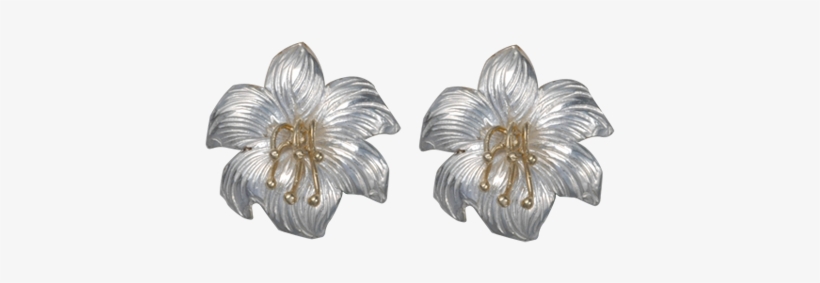 Chinese Hibiscus, transparent png #8756126