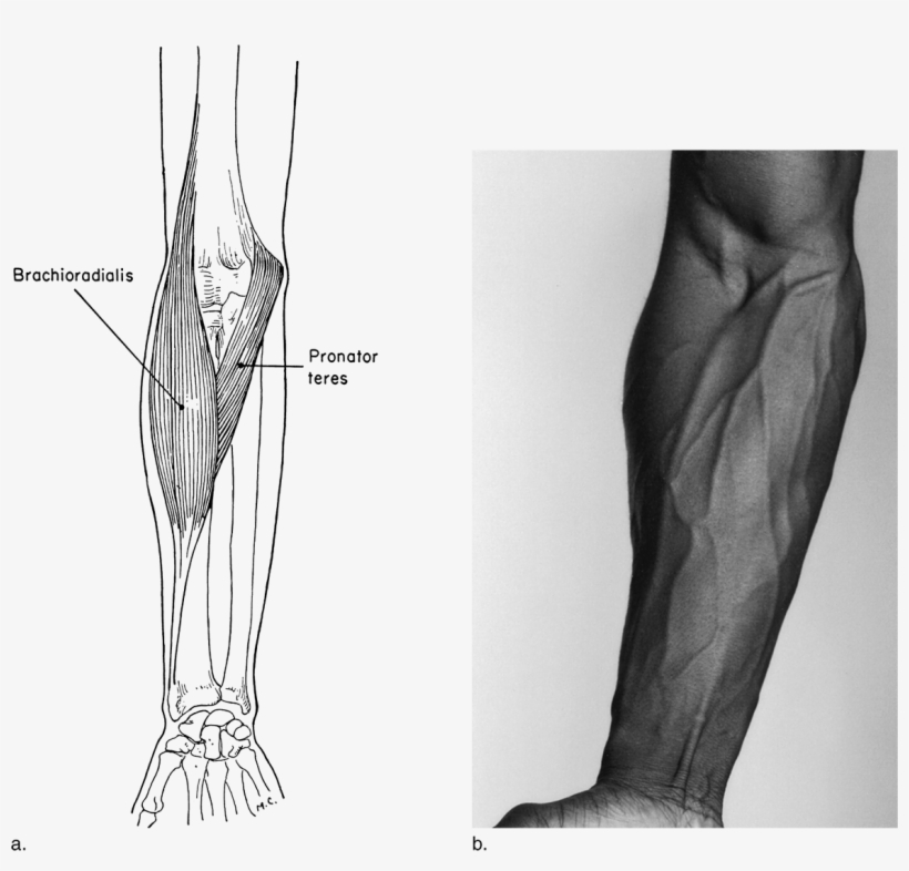 Image Not Available - Sketch, transparent png #8756417