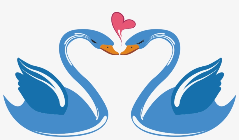 Swan Love Cartoon - Enamorados Dibujos De Cisnes A Color, transparent png #8757444