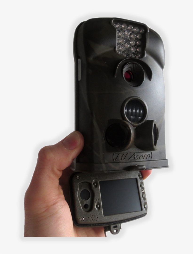 Ltl Acorn 6210mc Wildlife Trail Camera - Feature Phone, transparent png #8758435