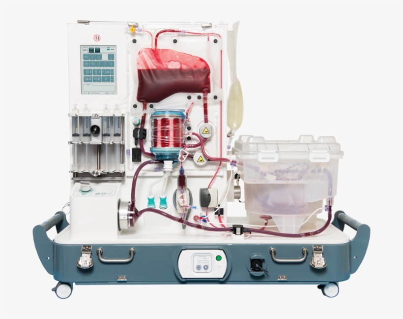 Picture1 - Normothermic Perfusion Liver, transparent png #8759485