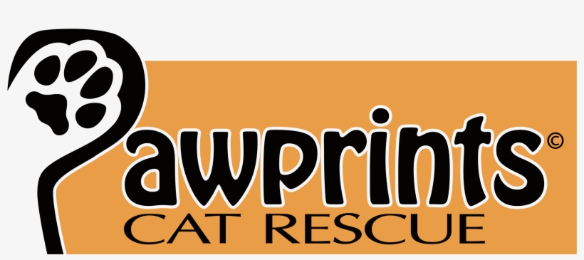 Pawprints Logo Landscape - Lentes De Contato Freshlook, transparent png #8760728