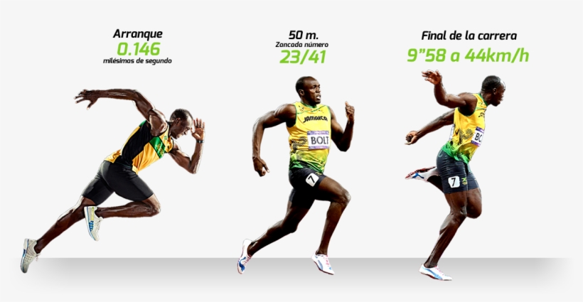 - - - Usain Bolt - - - - Cuanto Mide La Zancada De Usain Bolt, transparent png #8761435