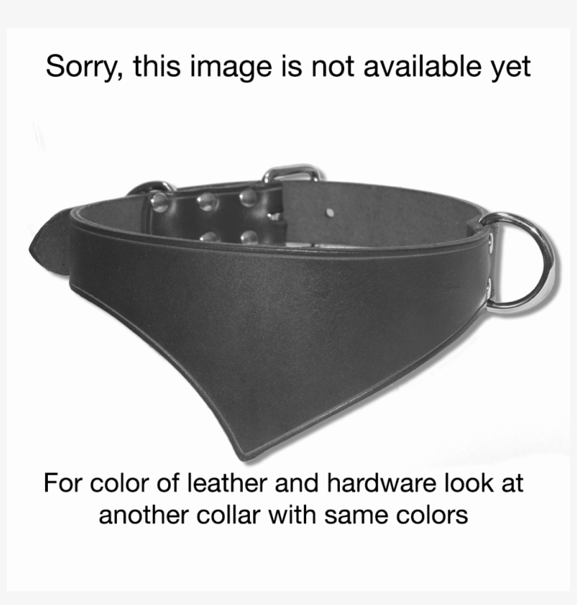 Shark Fin™ Urban West Coast Collar - Leather, transparent png #8763428