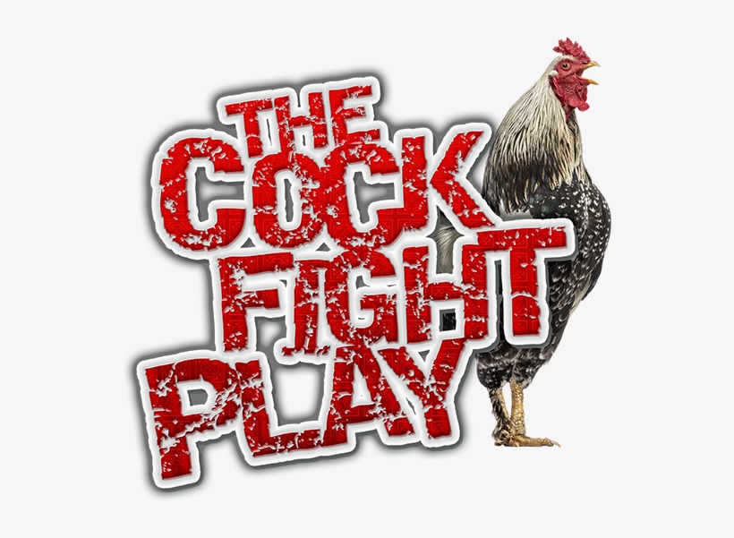 Pb Cockfight - Cock Fight, transparent png #8765721