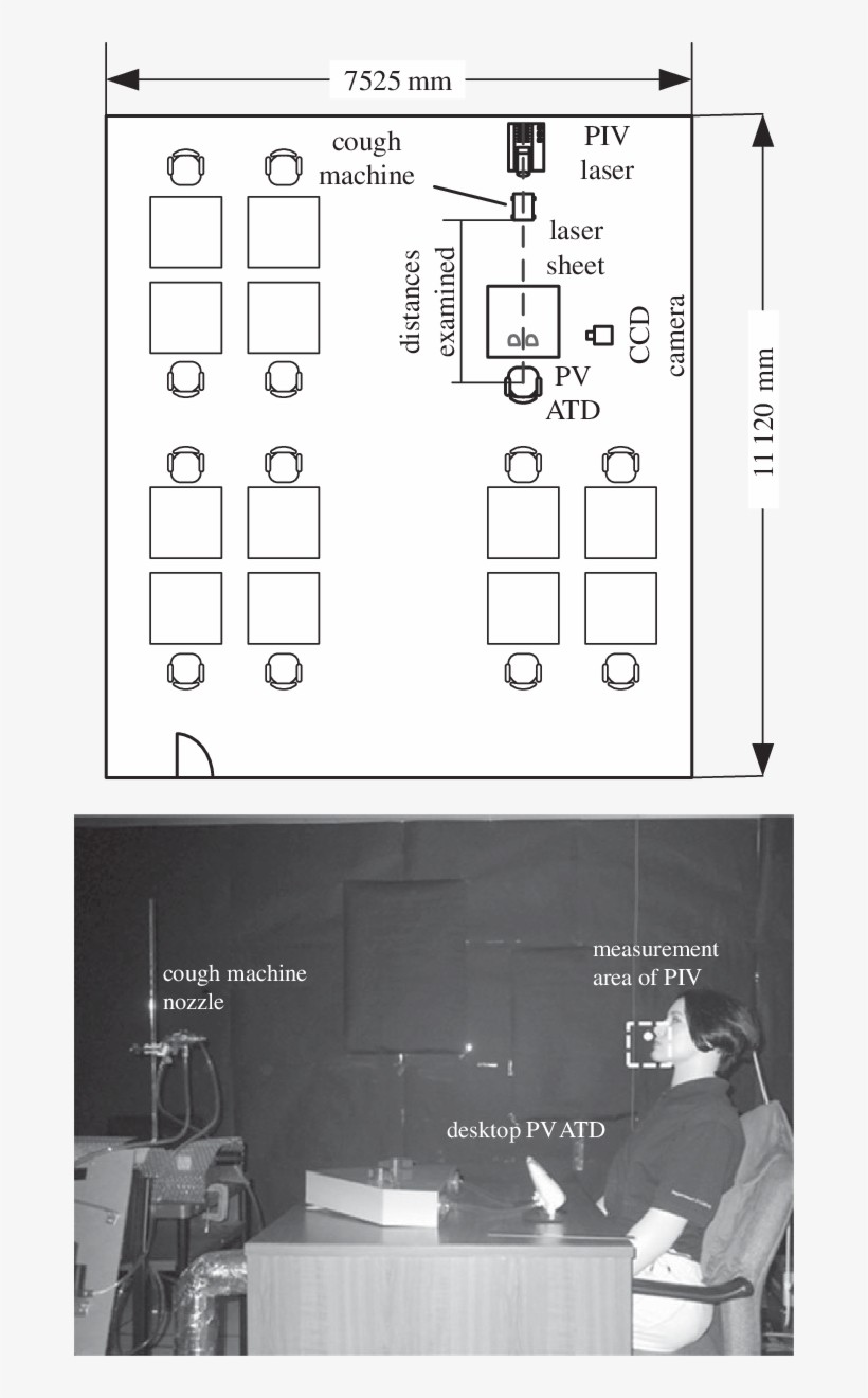 White Dot In Front Of The Manikin's Face - Diagram, transparent png #8765729