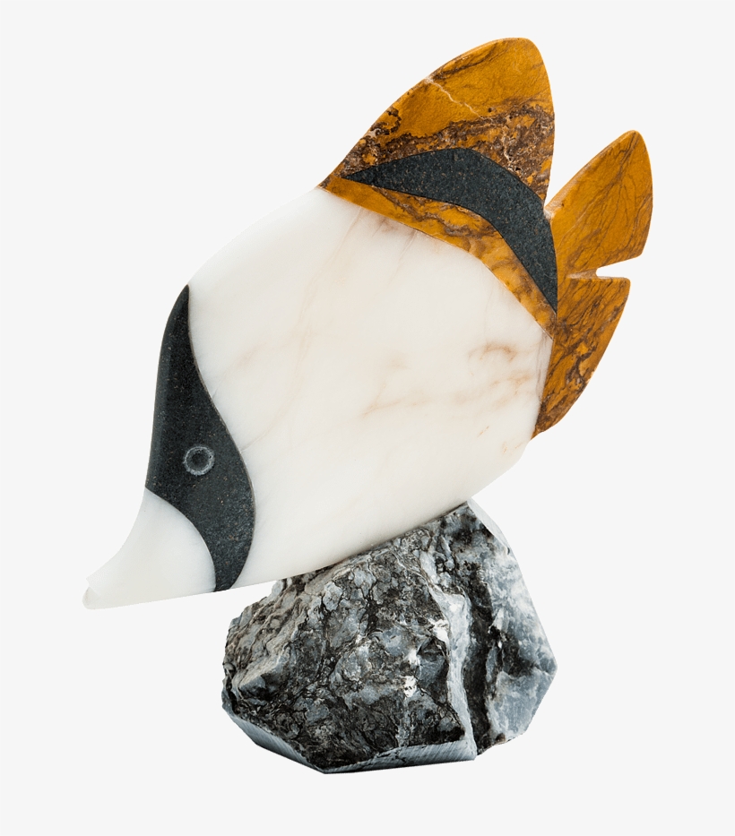 Tropical Fish - Previous - Next - Bufflehead, transparent png #8767187