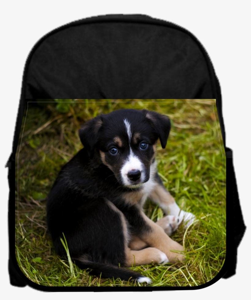 Sad Puppy 13" X 10" Black Preschool Toddler Children's - Cockerspanielin Ja Shetlanninlammaskoiran Risteytys, transparent png #8768588