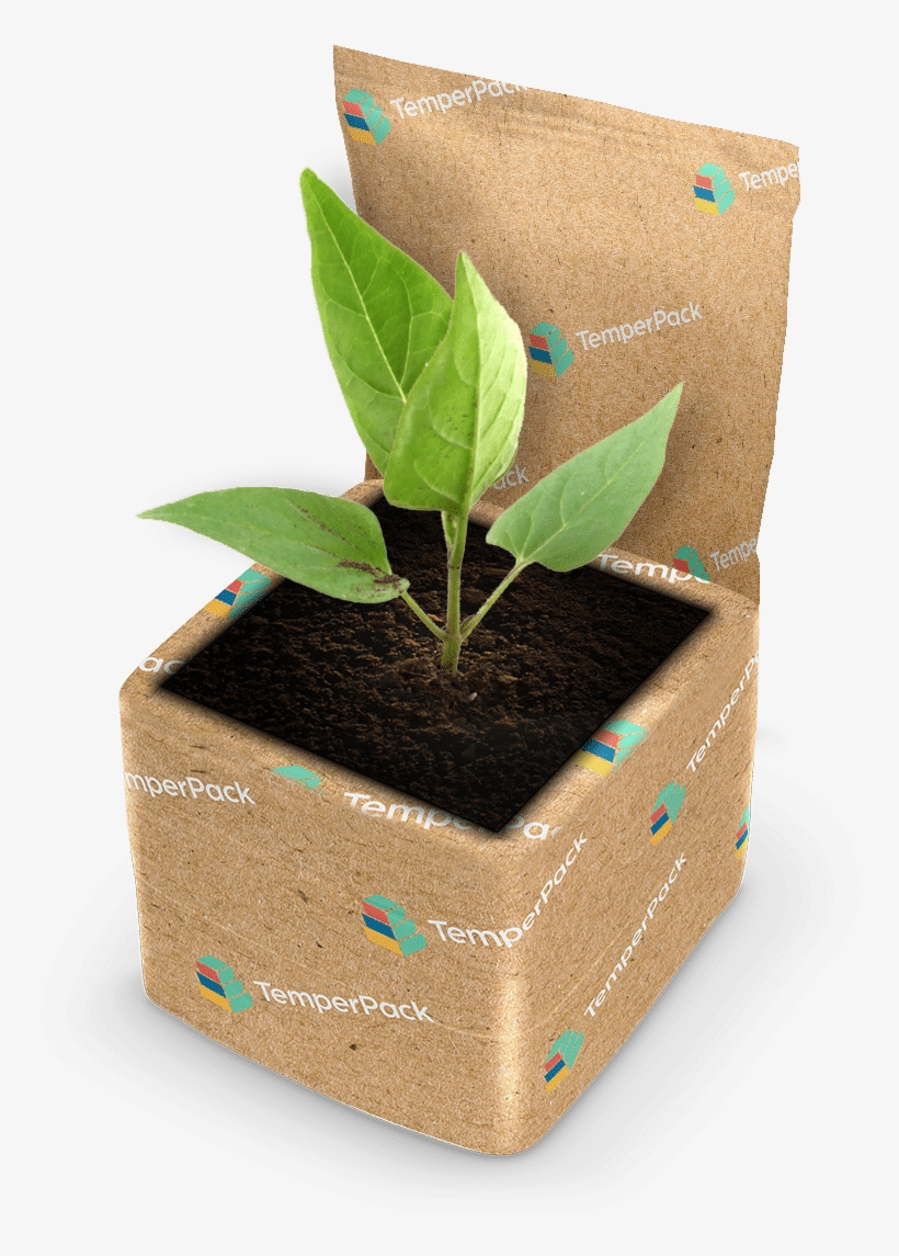 Sustainable Plant Package - Flowerpot, transparent png #8769530