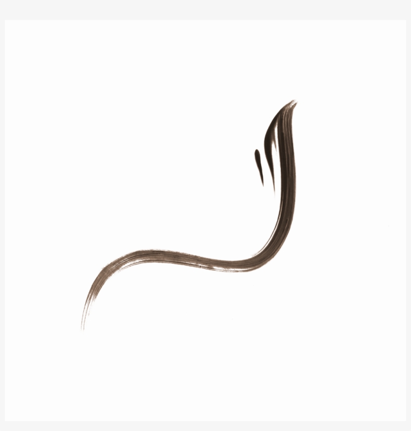 1celldc Swatch - Invertebrate, transparent png #8773887