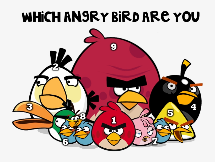 Angry Birds Flock By Jeremiekent13-d5lc45k - Angry Birds Game Birds, transparent png #8774023