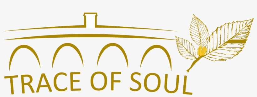 Trace Of Soul Logo-en, transparent png #8774284