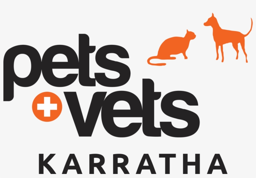 Microchipping - Camel, transparent png #8776245