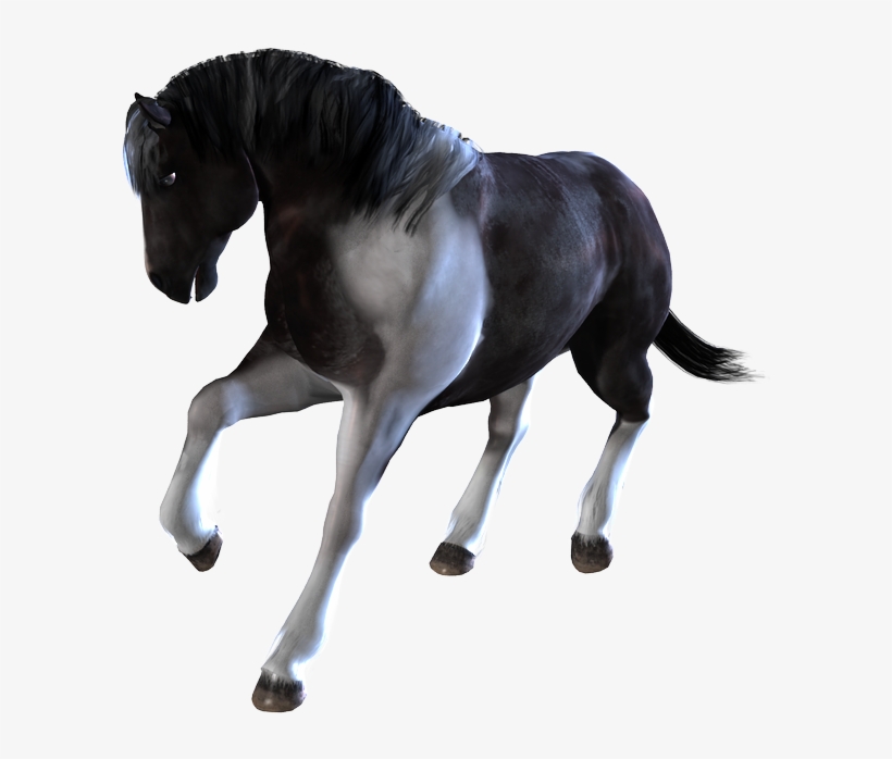Home / Poser And Daz Studio Content / Horses / Daz - Transparent Horses Png Animated, transparent png #8777222