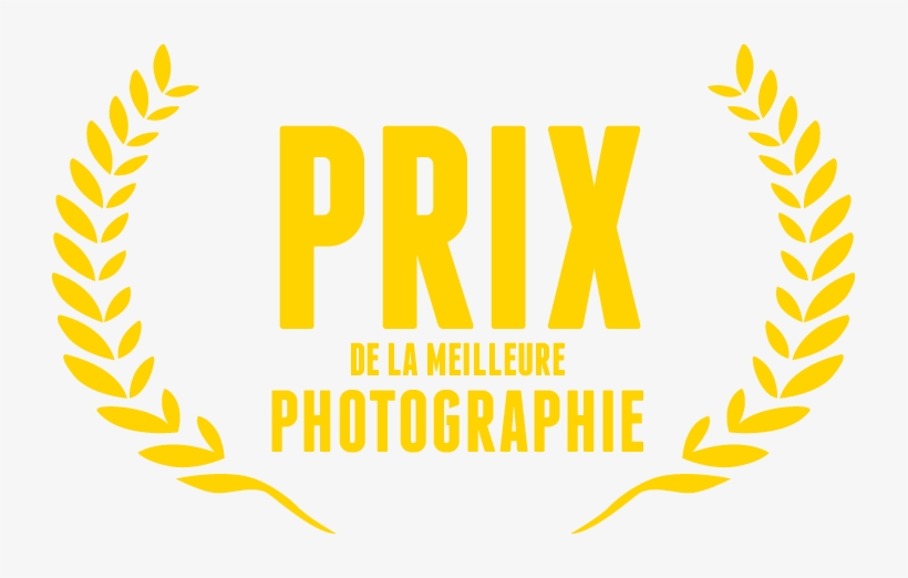 De Kit Cinema Nikon - Film Festival, transparent png #8779256