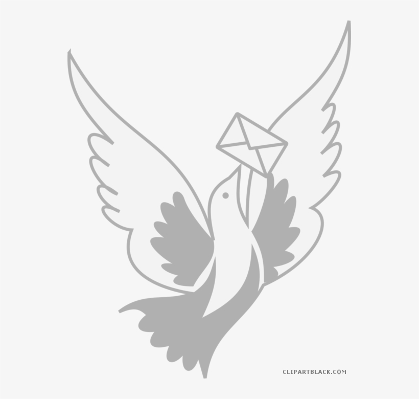 Wonderful Dove Animal Free Black White Clipart Images, transparent png #8779806