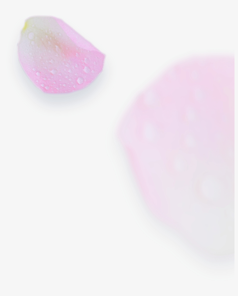 Young Living Essential Oils Distributor - Artificial Nails, transparent png #8780276