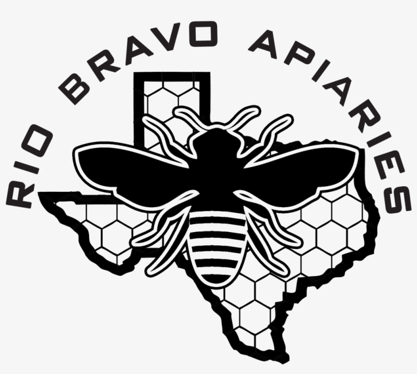 Texas Map Easy To Draw, transparent png #8780293