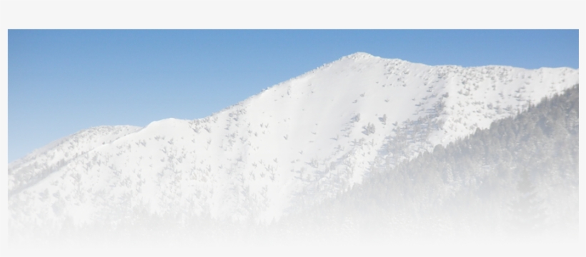 Snow, transparent png #8782032