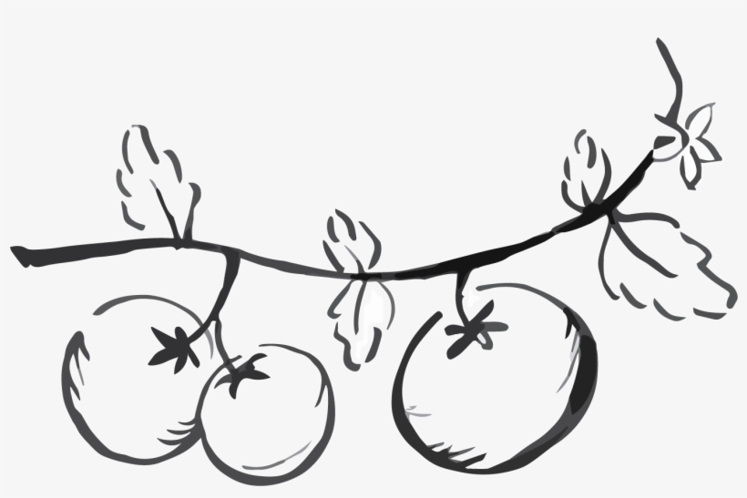 Tomato Tart - Line Art, transparent png #8782288