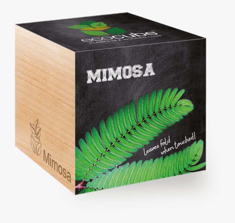 Schokoladenblume, transparent png #8782828