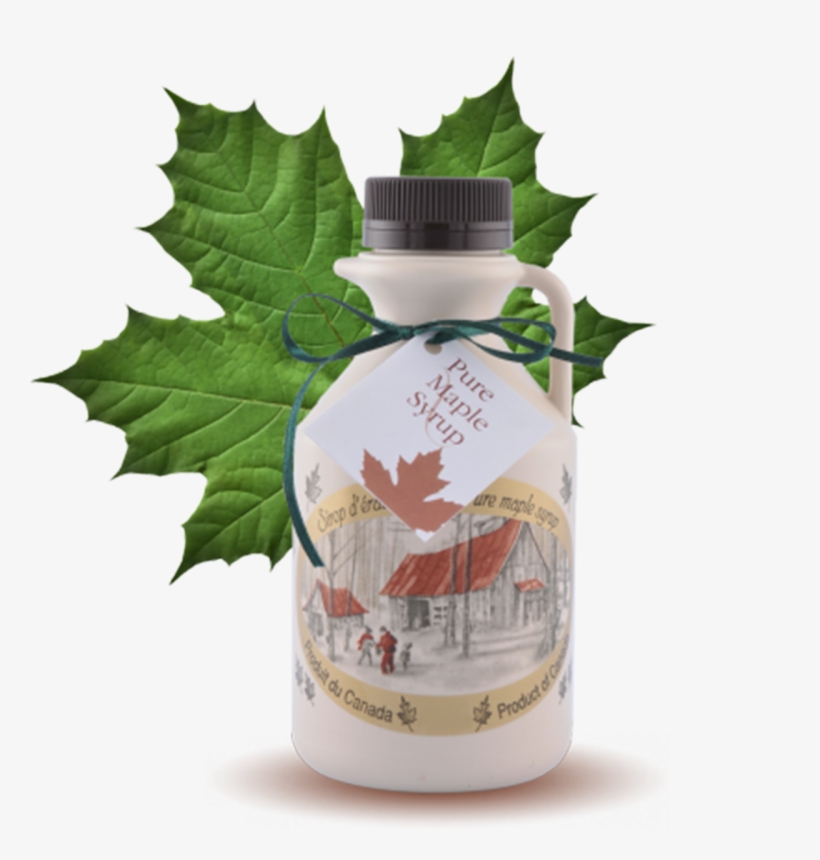 Grade B Maple Syrup Quart 32oz 1 Liter - Green Maple Leaf, transparent png #8783439
