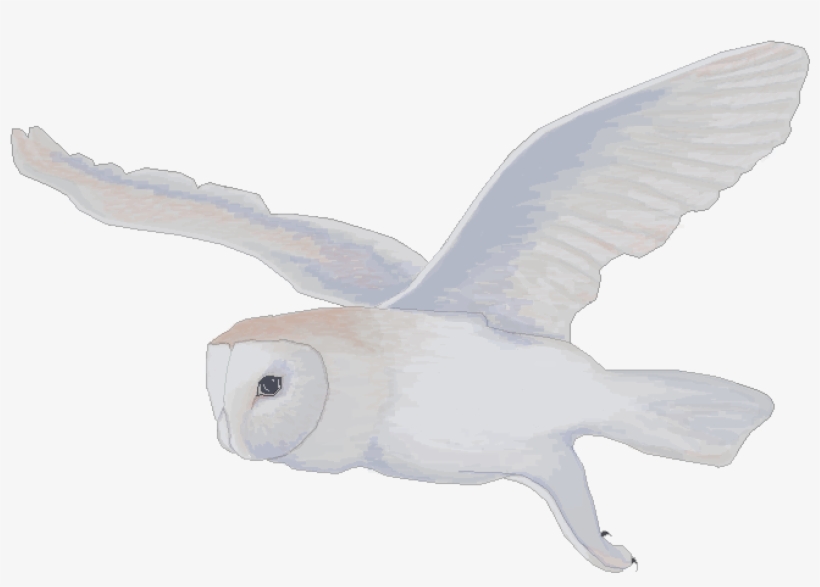 New Profile Picture - Buzzard, transparent png #8784276