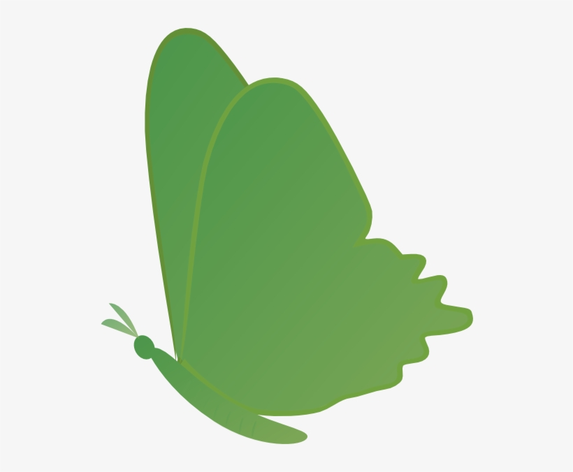 Butterfly Png, transparent png #8784304