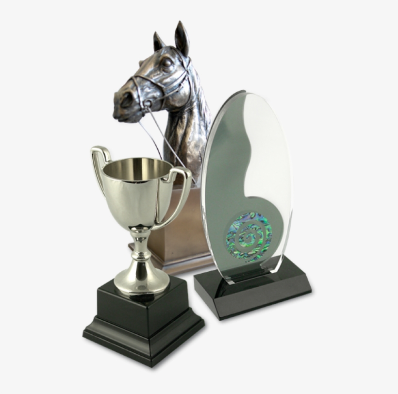 Enquire About Our Large Range Of Trophies - Trophy, transparent png #8784408