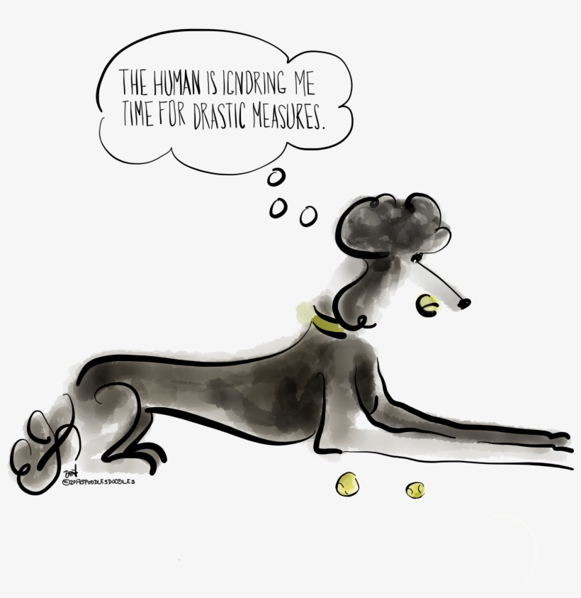 Poodles - Longdog, transparent png #8784586